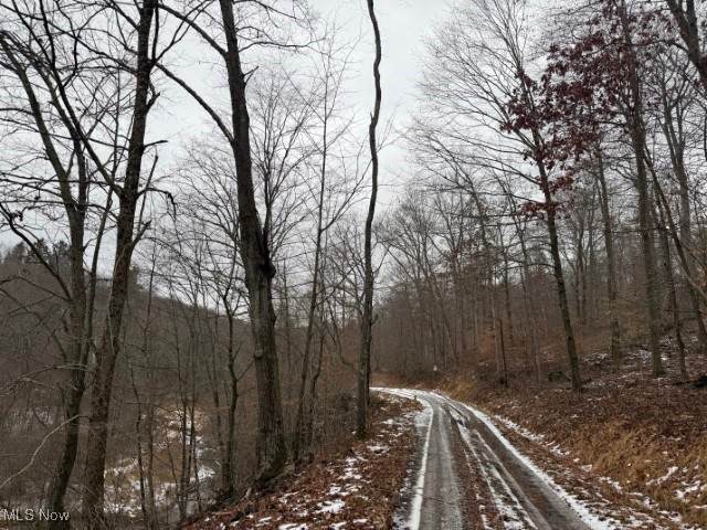  Rear Township Road - Photo 1