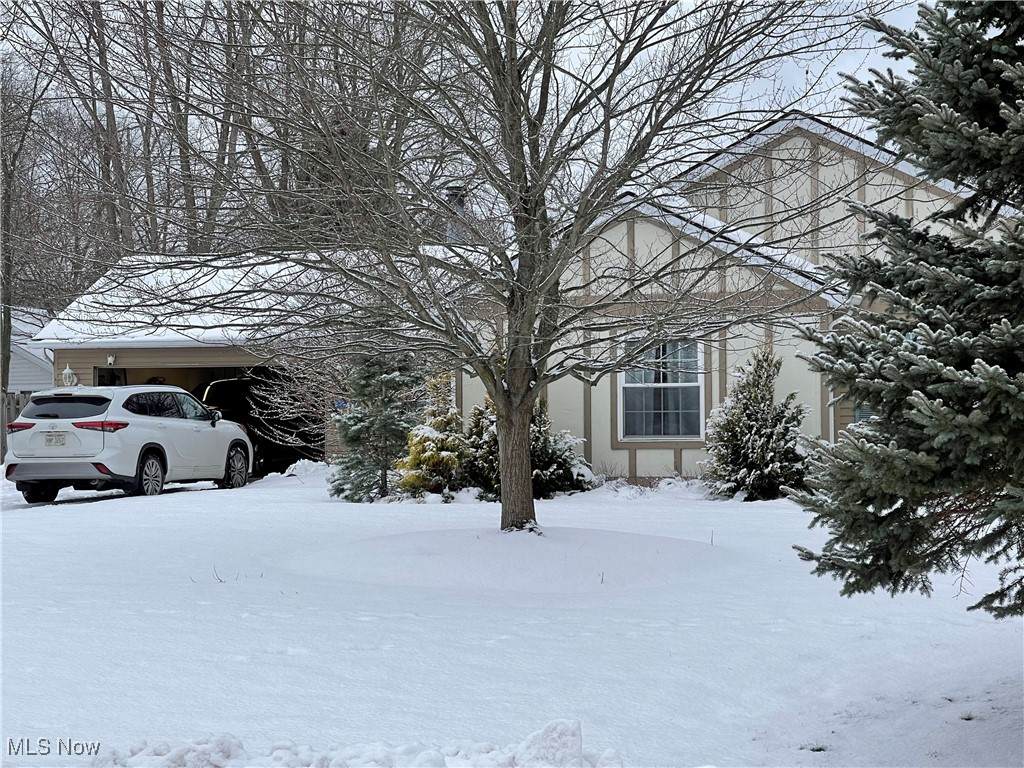 2376 Bay Meadow Street - Photo 1