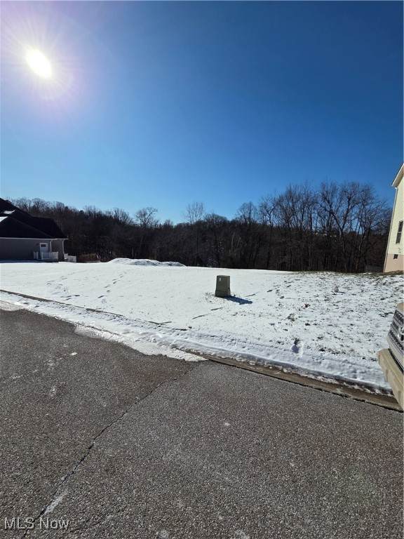 197 Millsop Drive - Photo 1