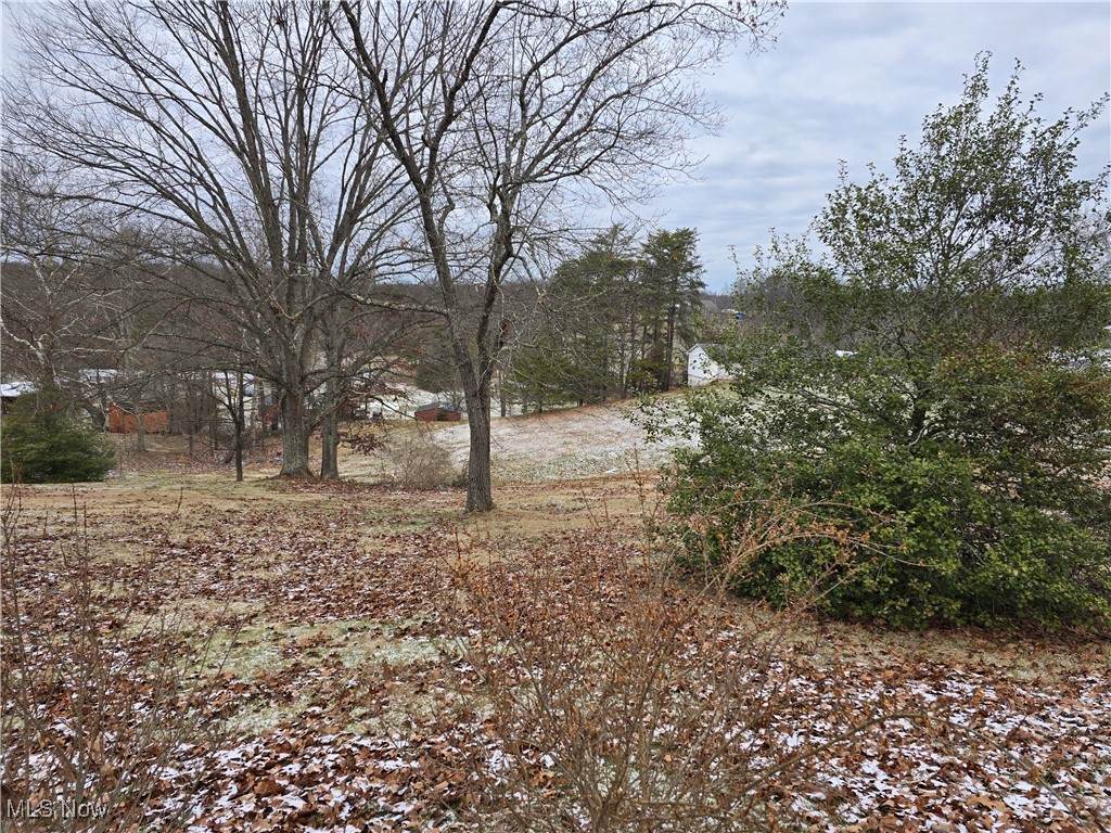  Meadow Lane Circle - Photo 1