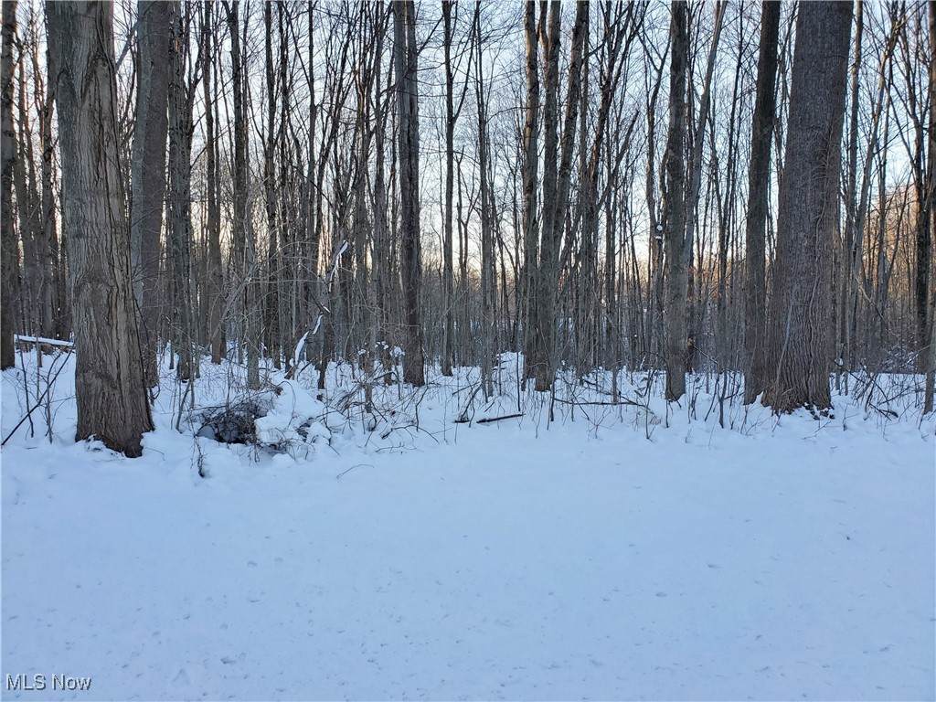  Geauga Lake Road - Photo 1