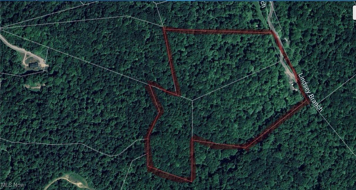 510 Lindsay Bridge Road - Photo 1