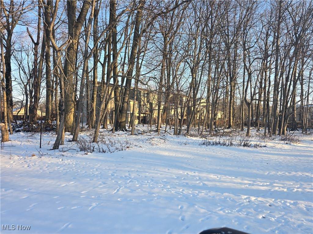 VL#2 Oak Street - Photo 1