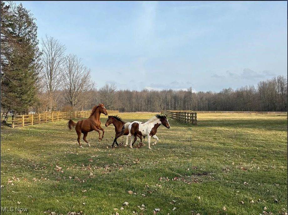 9300 Main Street - Photo 1