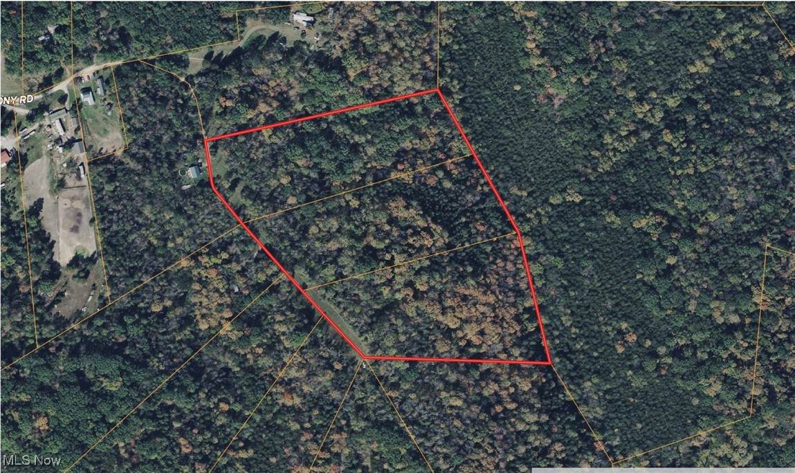 700 Tony Road - Photo 1