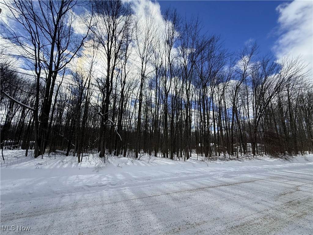  Tompkins Road - Photo 1