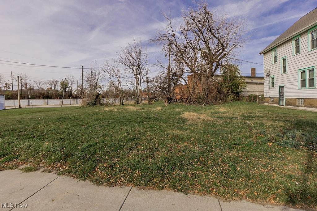 13317 Woodworth Road - Photo 1
