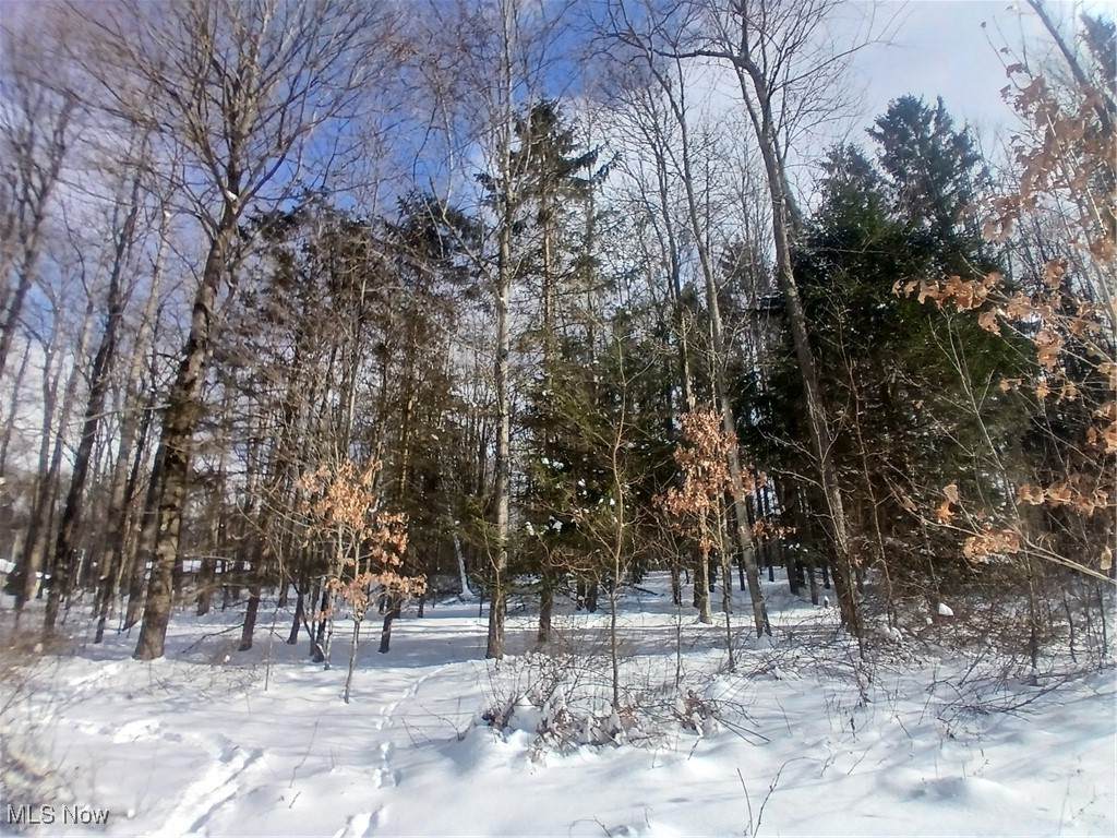 35224 Hull Road - Photo 1