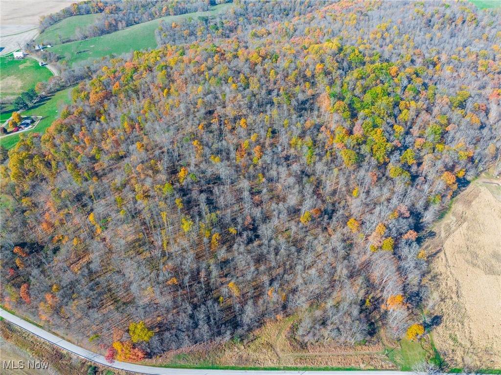 26560 County Road 24 - Photo 1