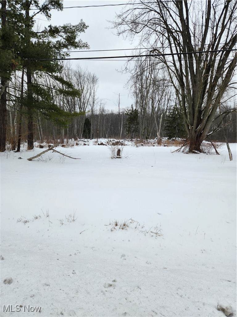  Royalton Road - Photo 1