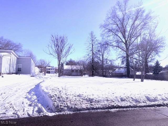  Rose Avenue - Photo 1