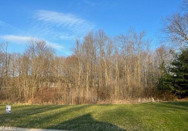  Birchmont Avenue - Photo 1