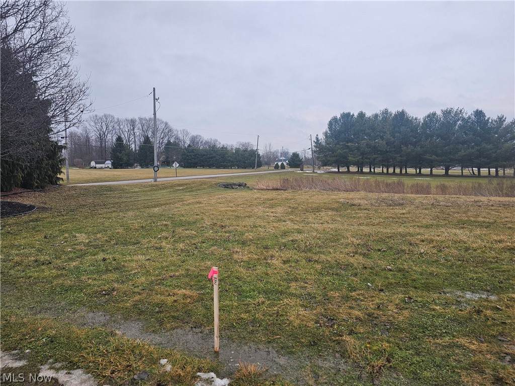 31 Shores Drive - Photo 1