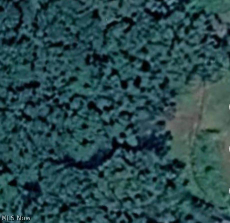  Bell Boulevard - Photo 1