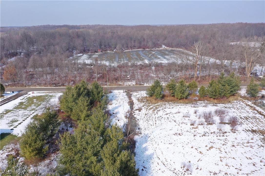  Maple Road - Photo 1