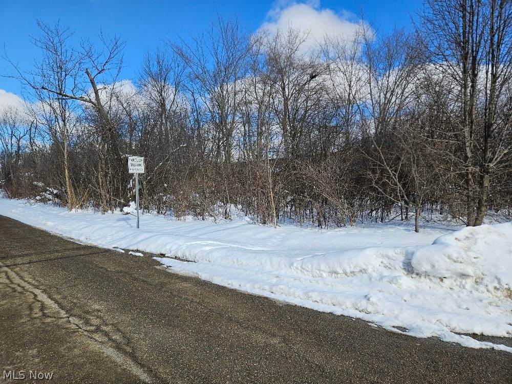  Miles Road - Photo 1