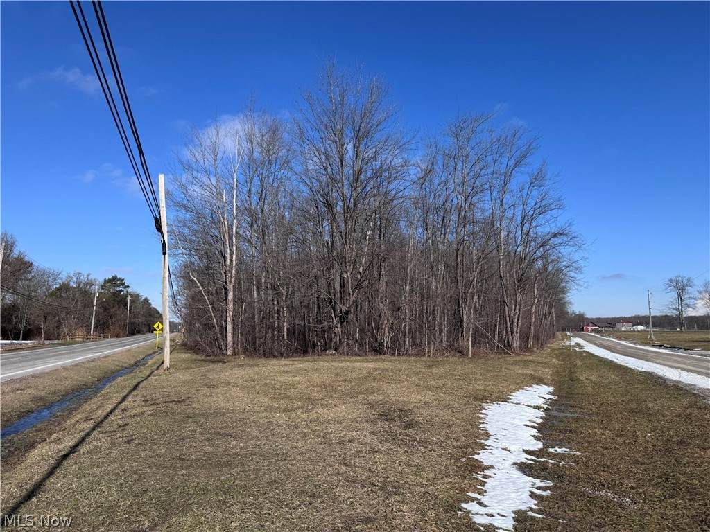 V/L 4 Painesville Warren Road - Photo 1