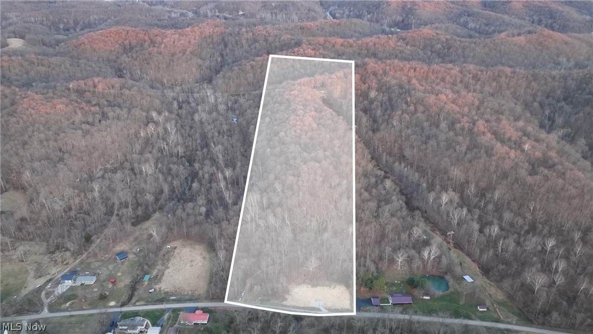 32290 Bailey Run Road - Photo 1