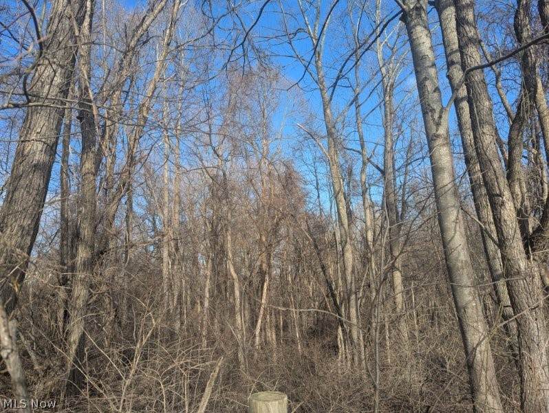 0 Township Road 215 - Photo 1