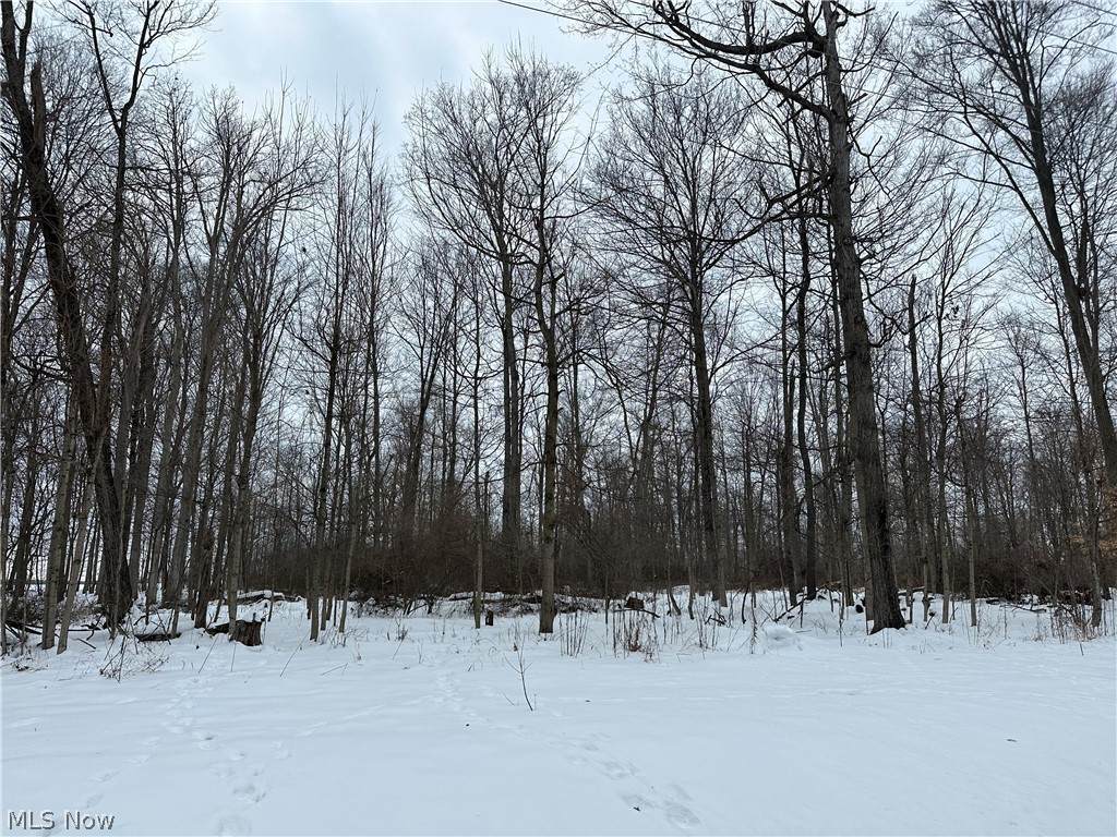 0 Grant Road - Photo 1