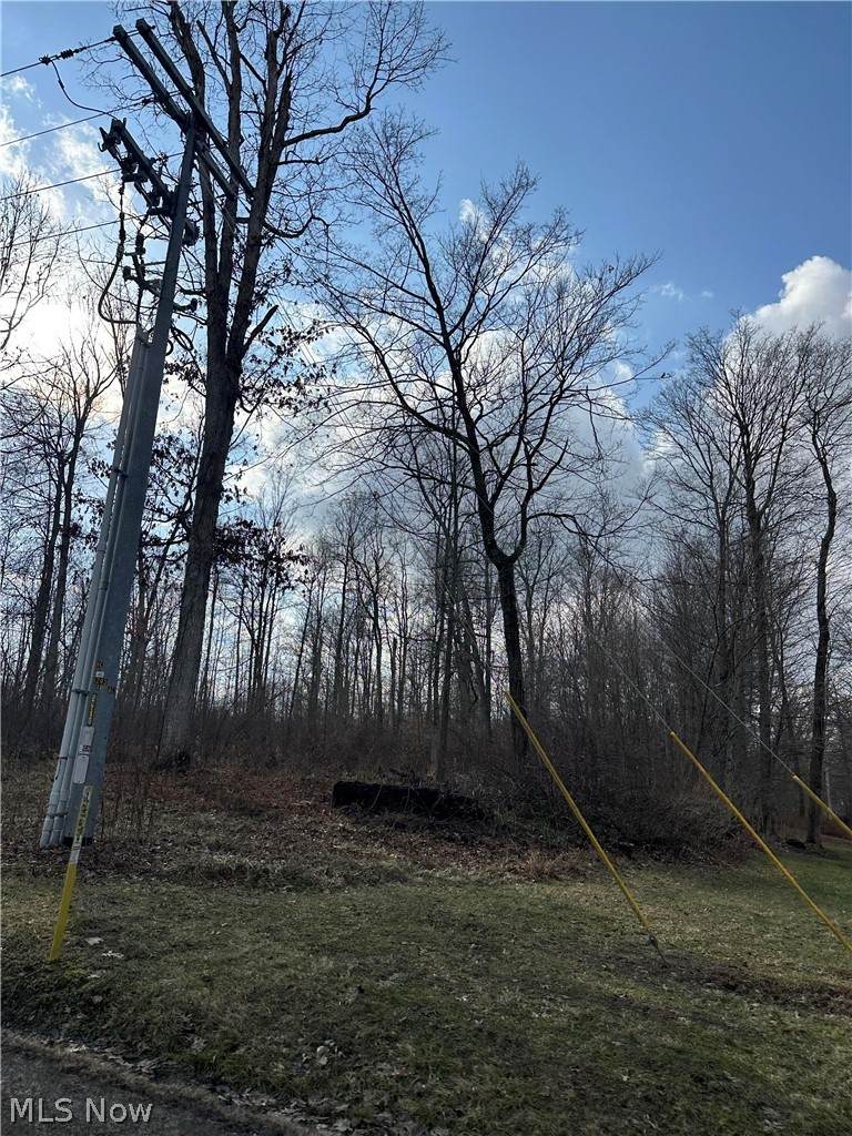 12651 Grant Road - Photo 1