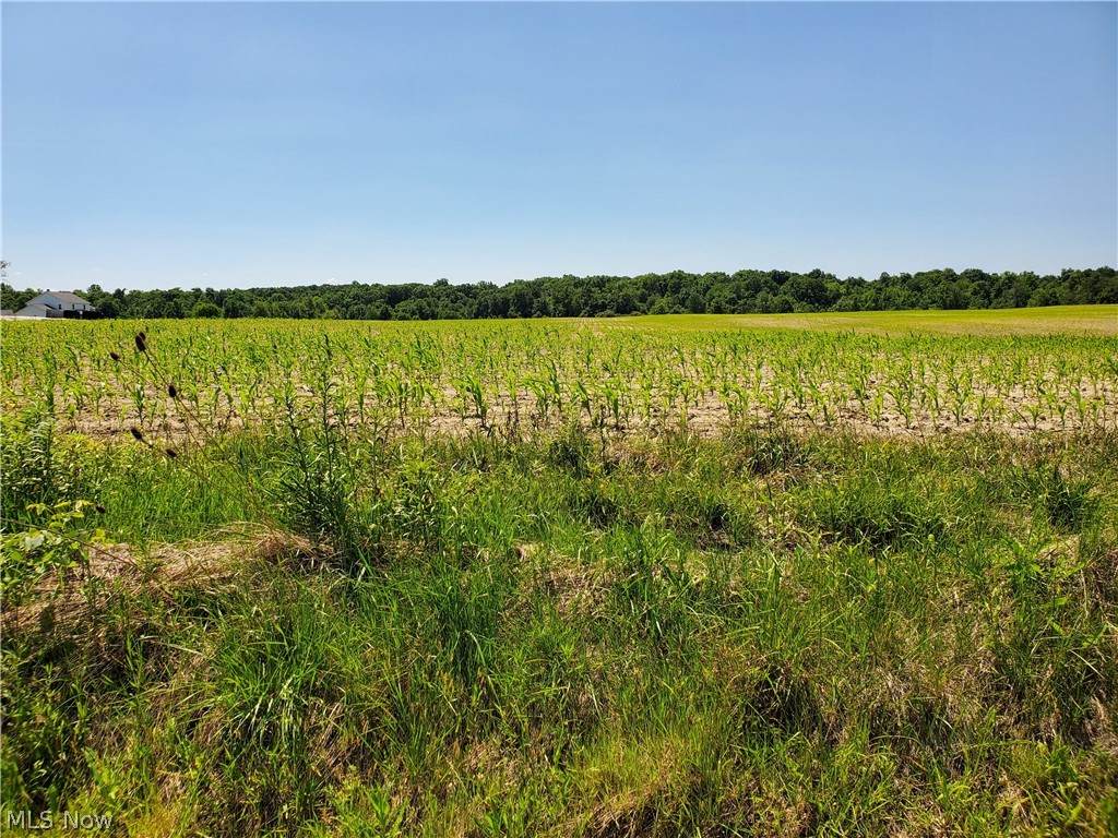 Parcel C Nash Road - Photo 1