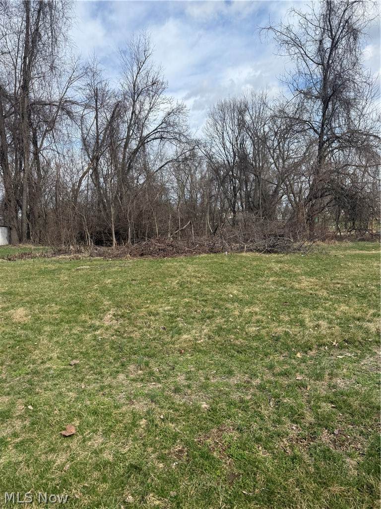 93 Beatty Avenue - Photo 1