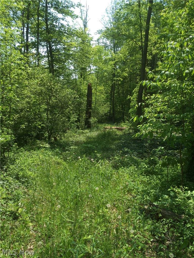 0 Fowlers Mill Road - Photo 1