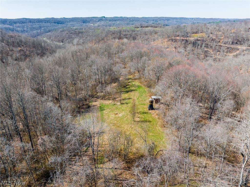  Sheepskin Ridge Road - Photo 1