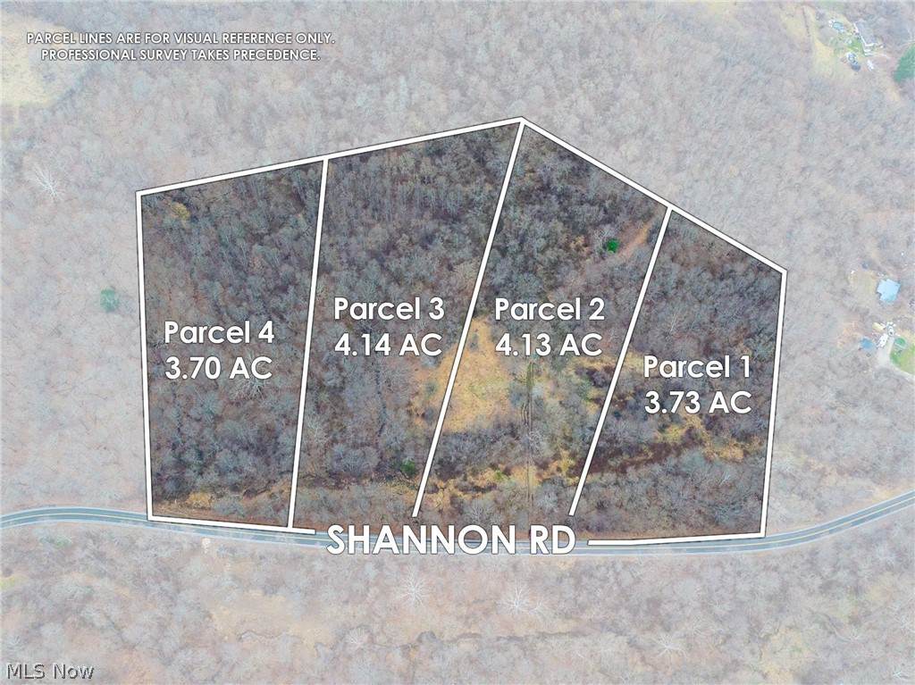 10445 Shannon Road - Photo 1