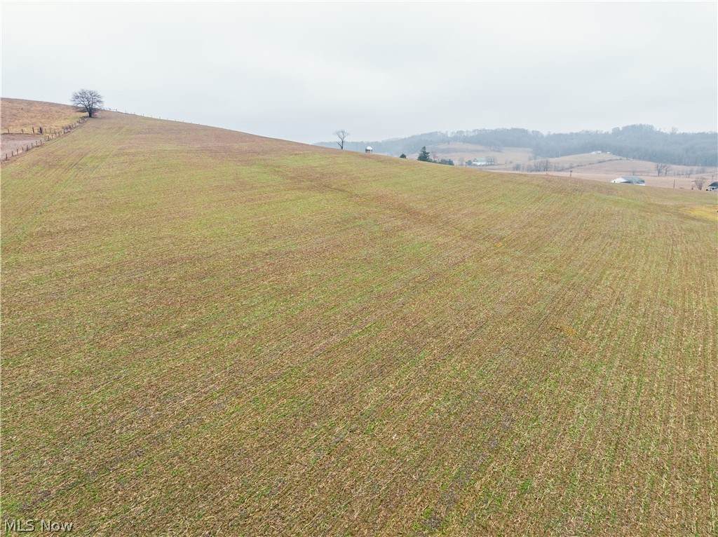 3967 Crooked Run Road - Photo 1