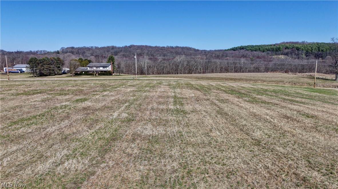 29100 Flat Run Road - Photo 1