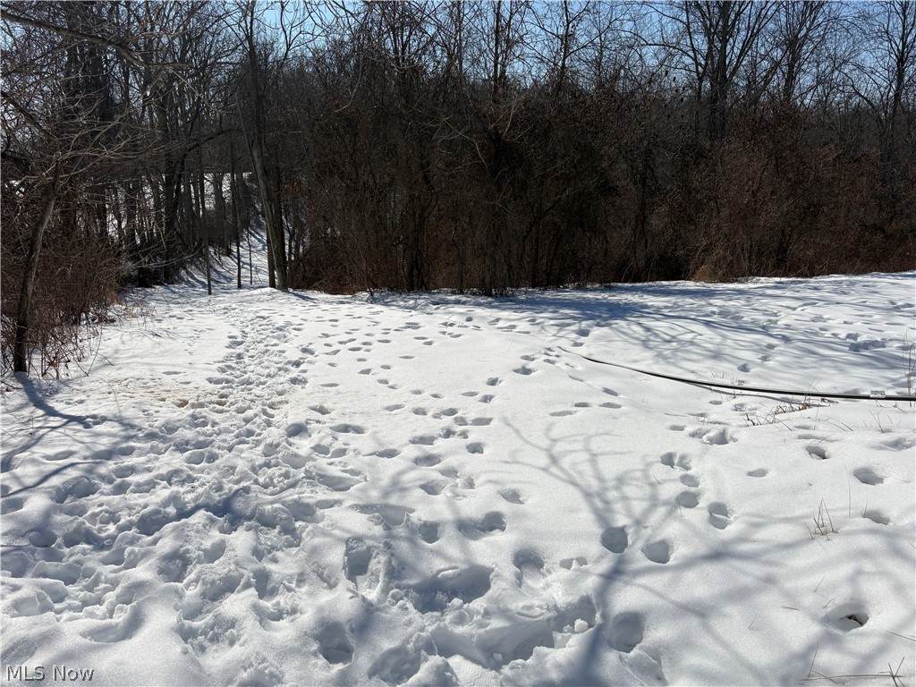 0 Tract 6 Winland Lane - Photo 1