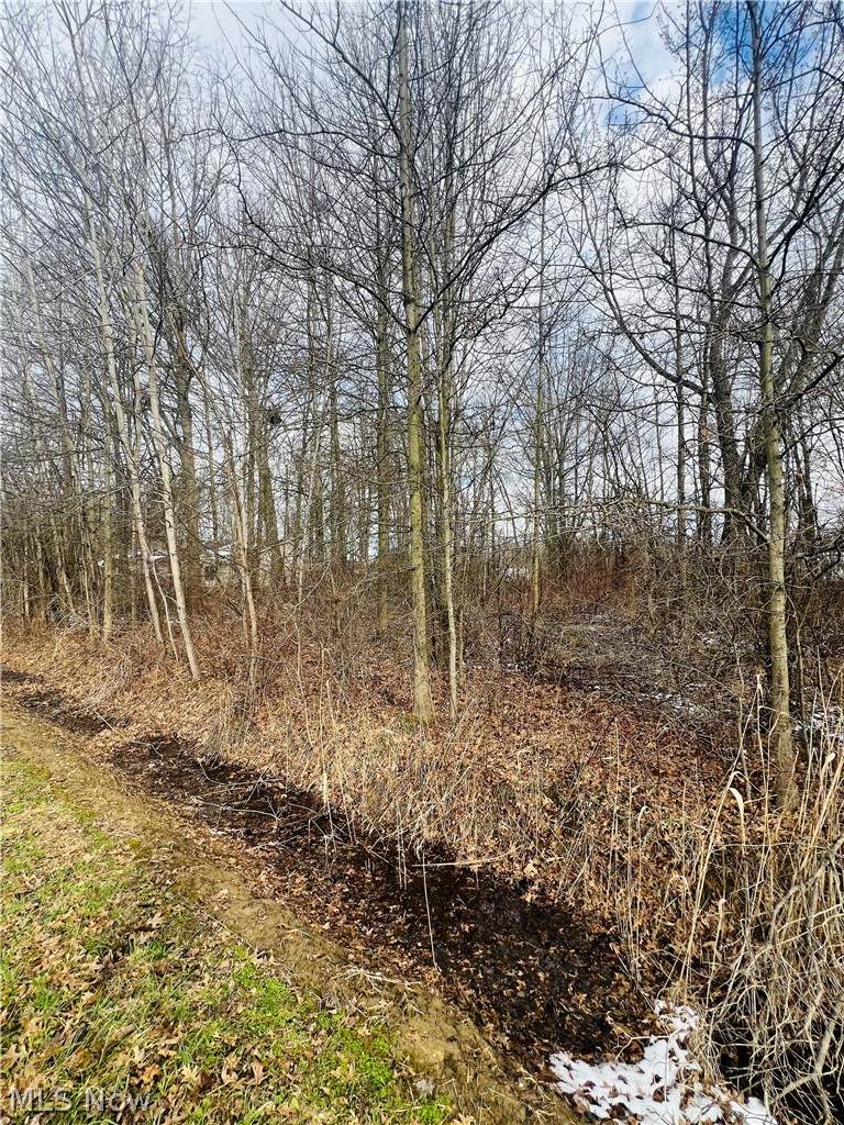 Lot 115 Breezewood Lane - Photo 1