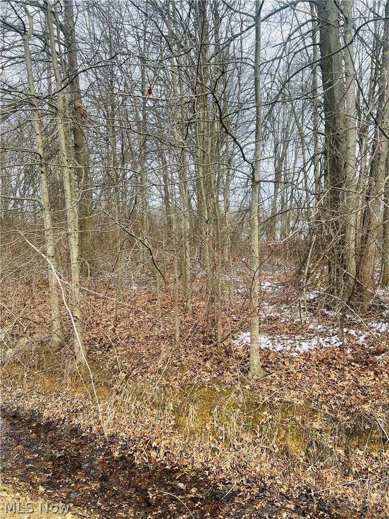 Lot 113 Breezewood Lane - Photo 1