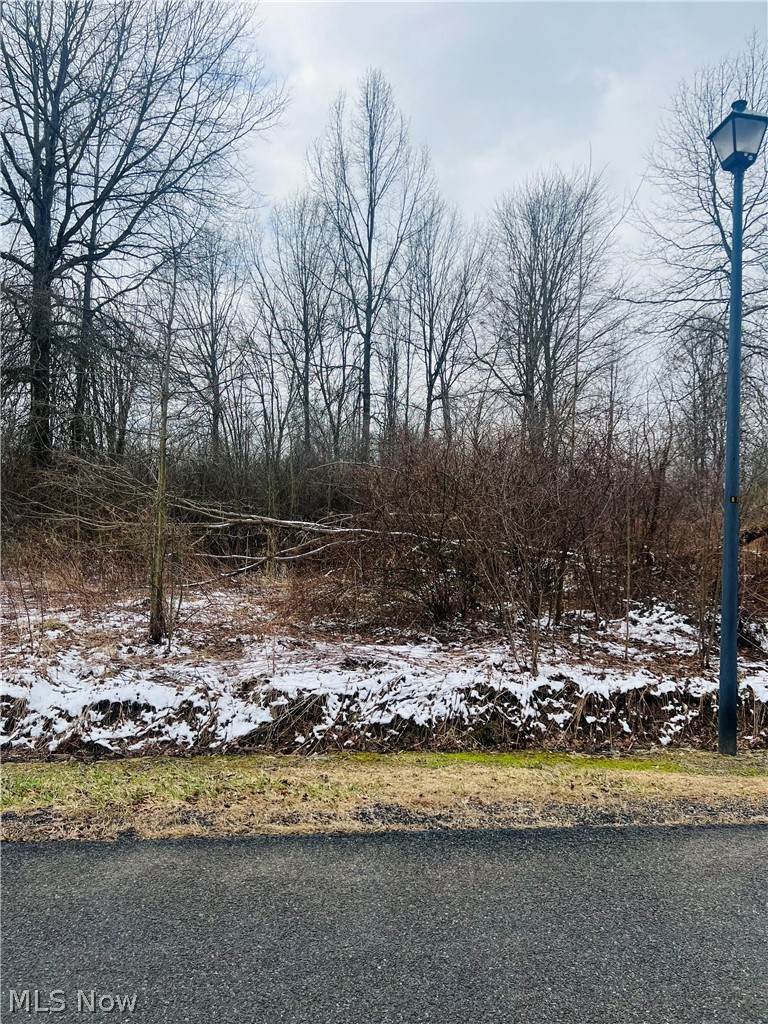 Lot 134 Breezewood Lane - Photo 1