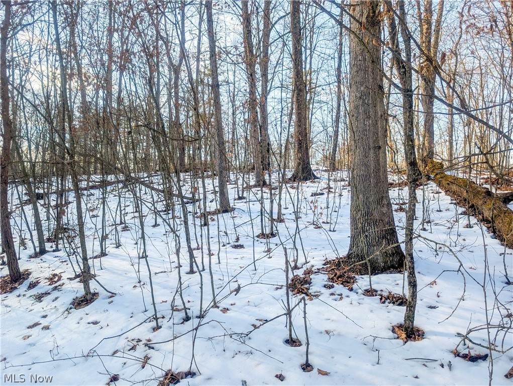 0 Tract 16 Ch 59 - Photo 1