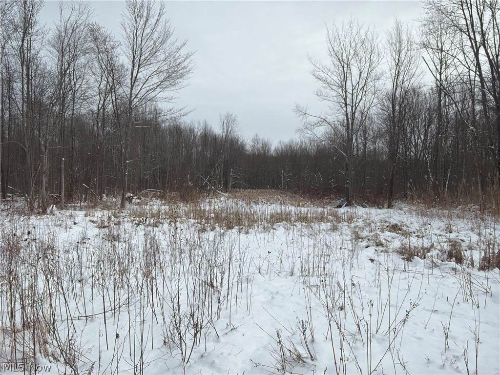  Munson Hill Road - Photo 1