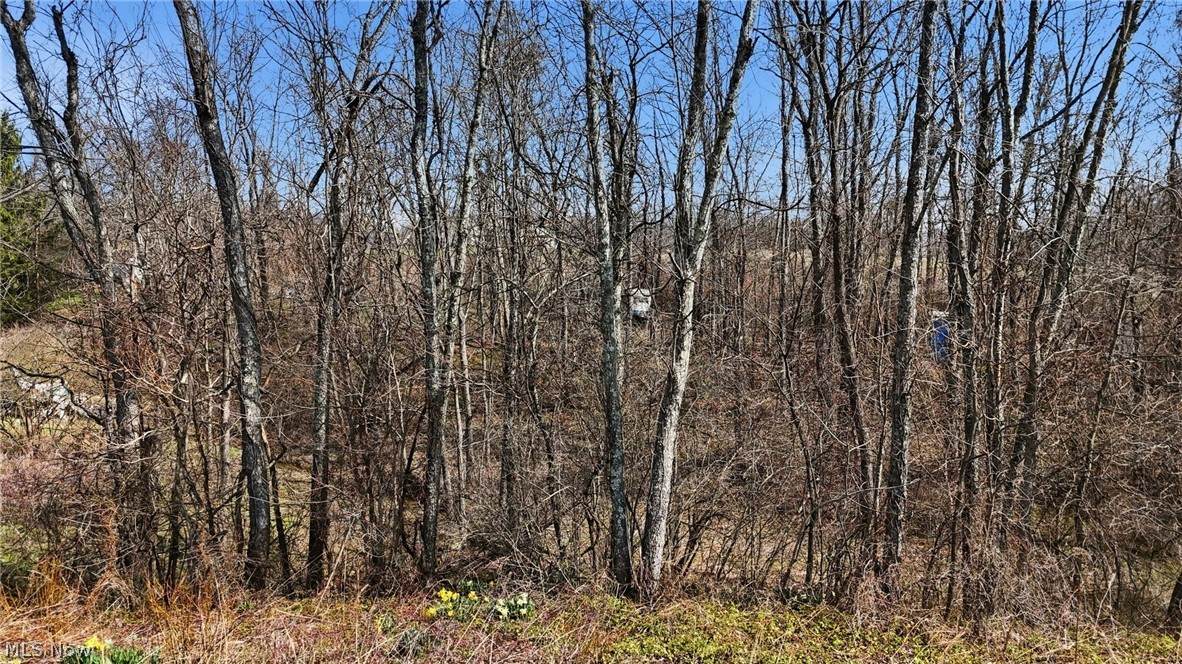 14489 Clay Pike - Photo 1