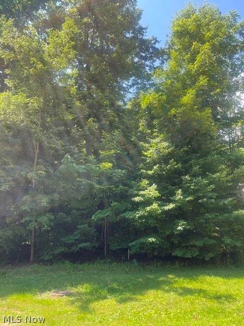 https://bt-photos.global.ssl.fastly.net/normls/orig_boomver_2_5195647-2.jpg