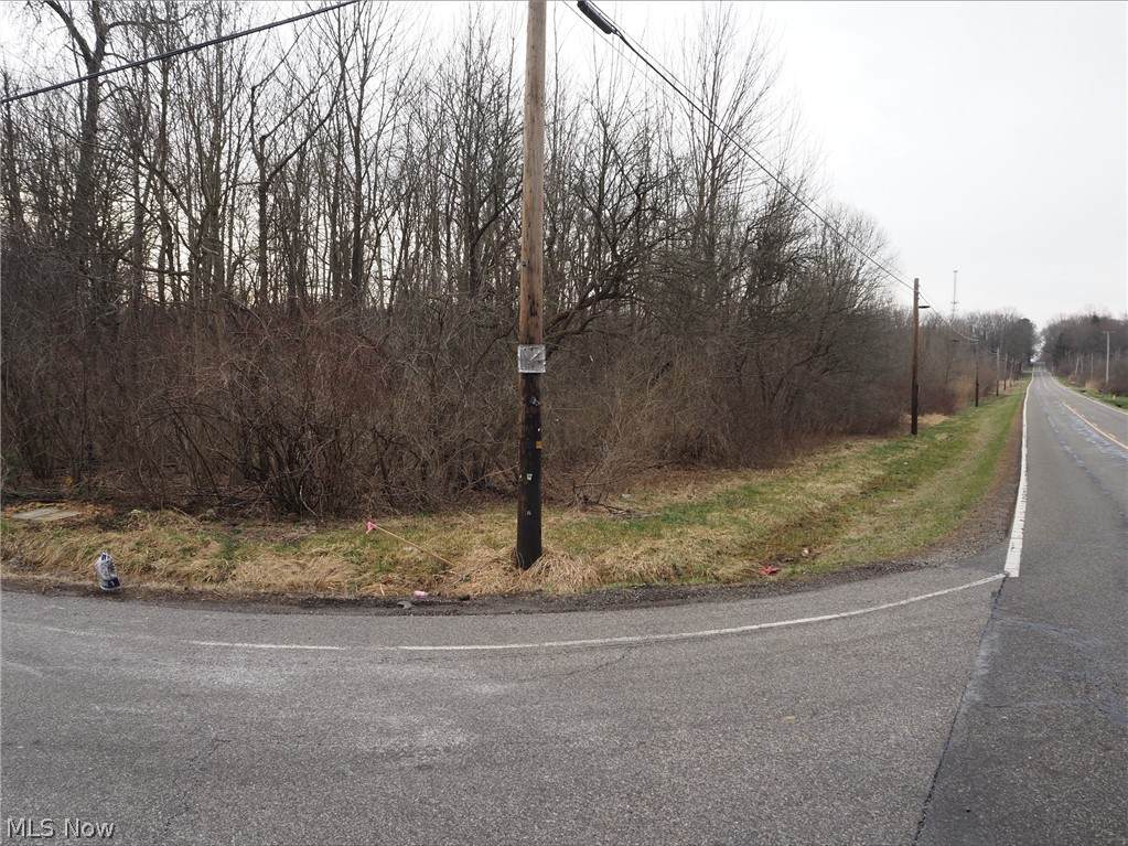 V/L 1 Bartholomew Road - Photo 1