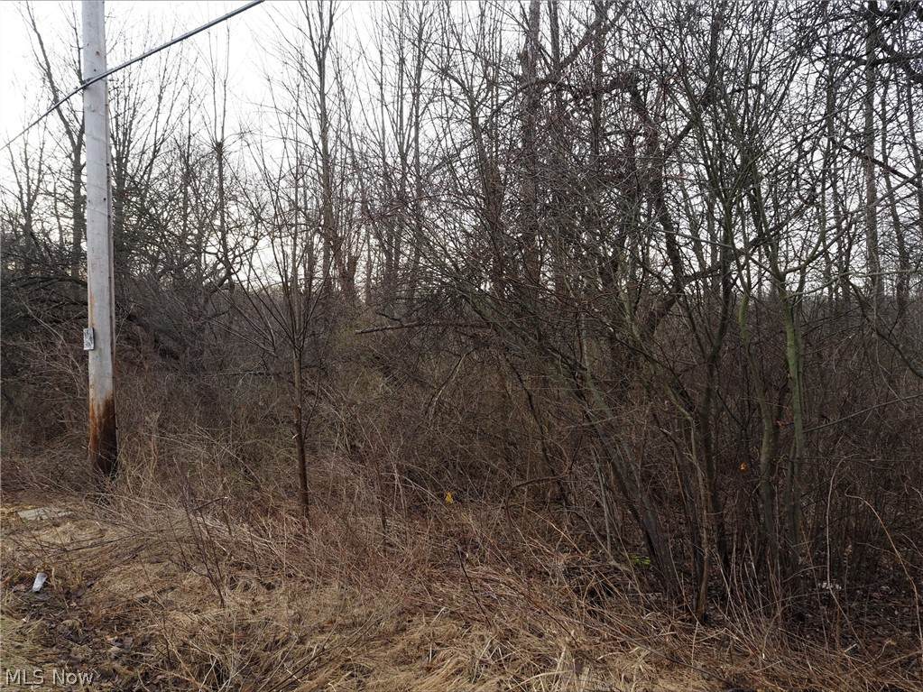 V/L 2 Bartholomew Road - Photo 1