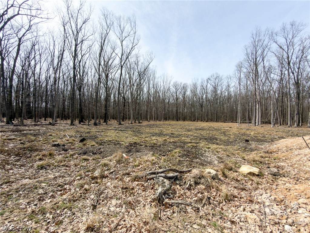 4216 Ridgeview Drive - Photo 1