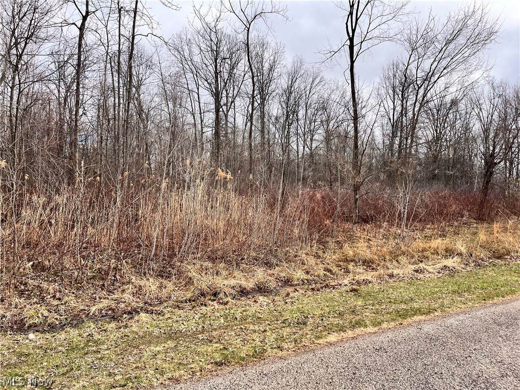  Brianna Ct.  Lot 11 - Photo 1