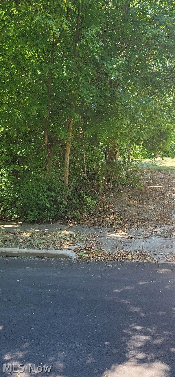  Kline Avenue - Photo 1