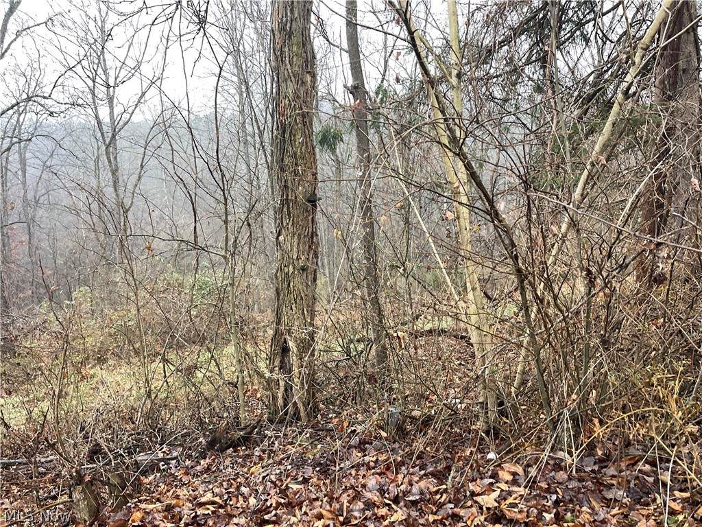 16 Woodcliff Acres - Photo 1