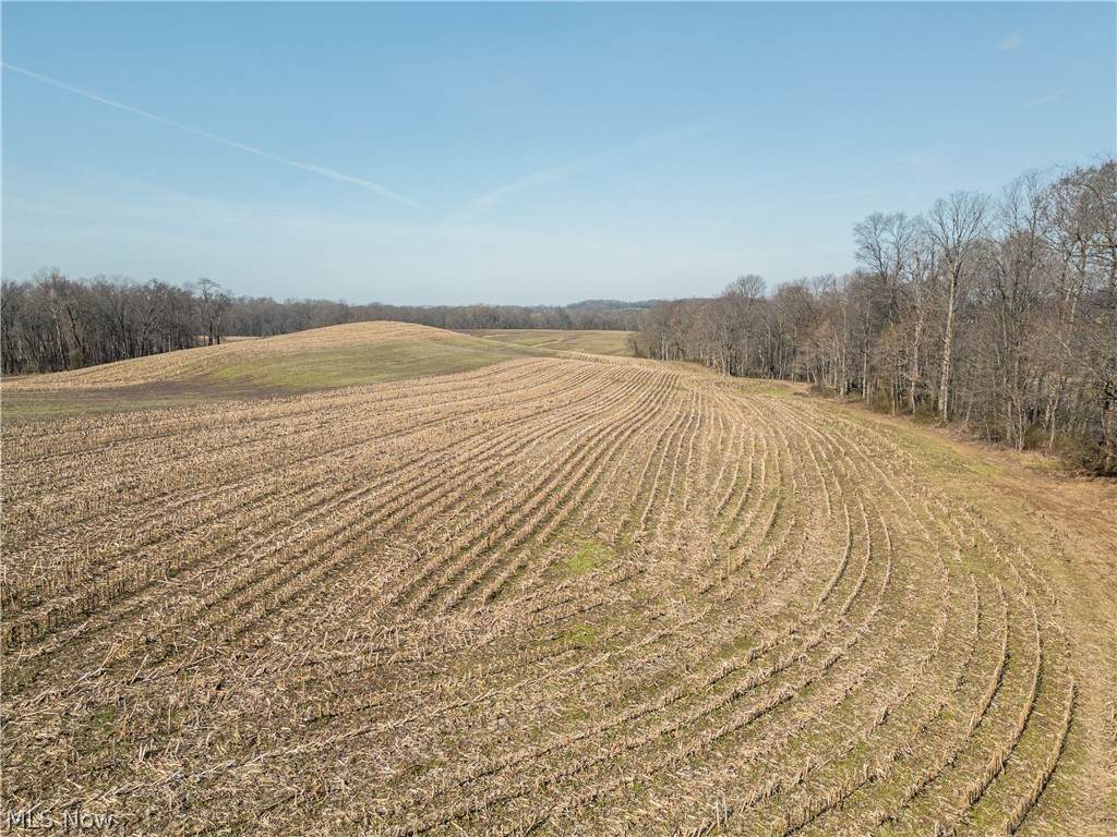  Pleasant Hill Drive - Photo 1