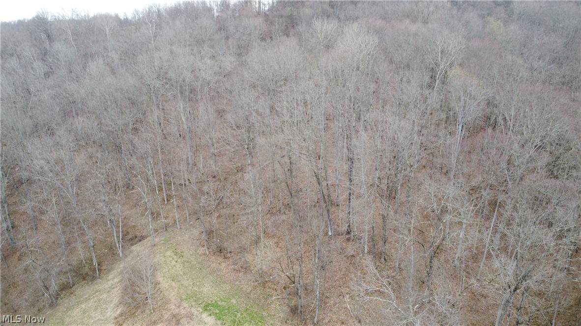 39460 Opossum Creek Road - Photo 1