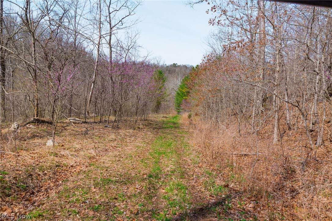  East Branch Road - Photo 1