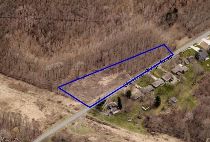 V/L Chestnut Ridge Road - Photo 1